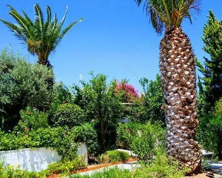 Porto Hydra Summer Ερμιόνη